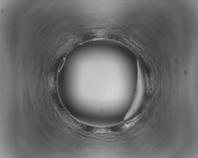 X0000067500611200604101232