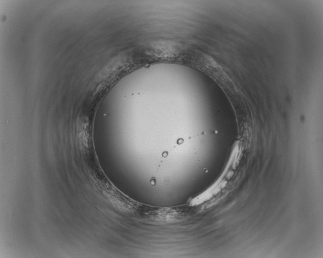 X0000067500612200604101232