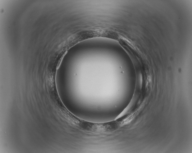 X0000067500613200604101232