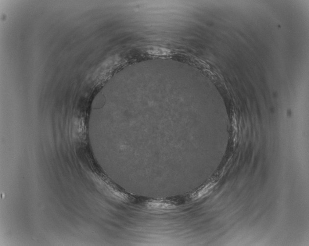 X0000067500614200604101232