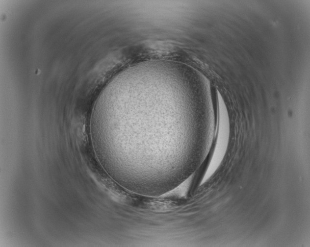 X0000067500615200604101232