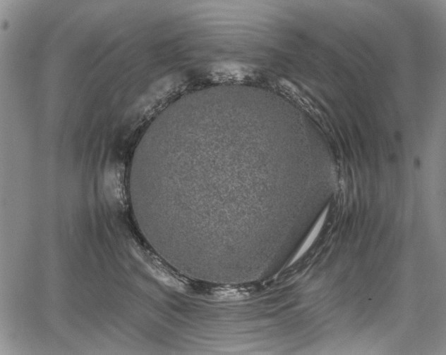 X0000067500616200604101232