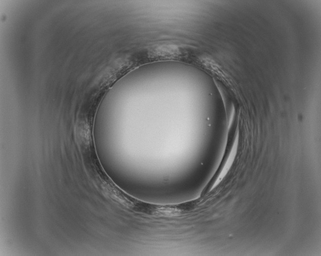 X0000067500617200604101232