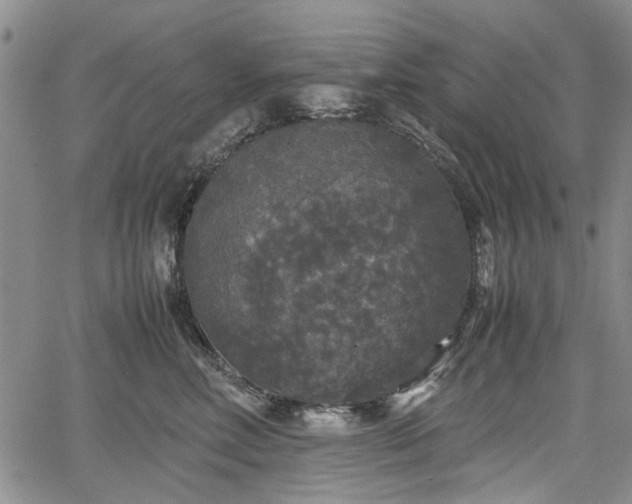 X0000067500618200604101232