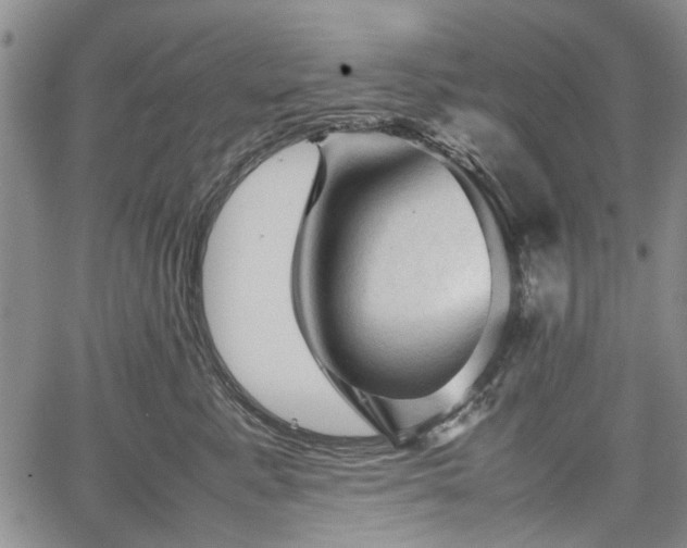 X0000067500619200604101232