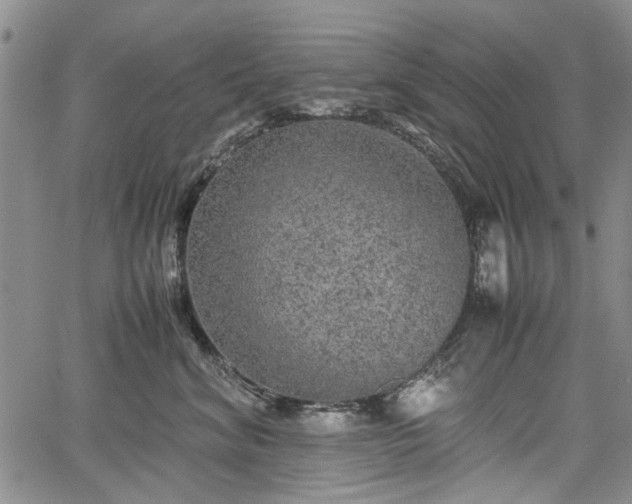 X0000067500620200604101232