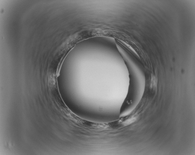 X0000067500621200604101232