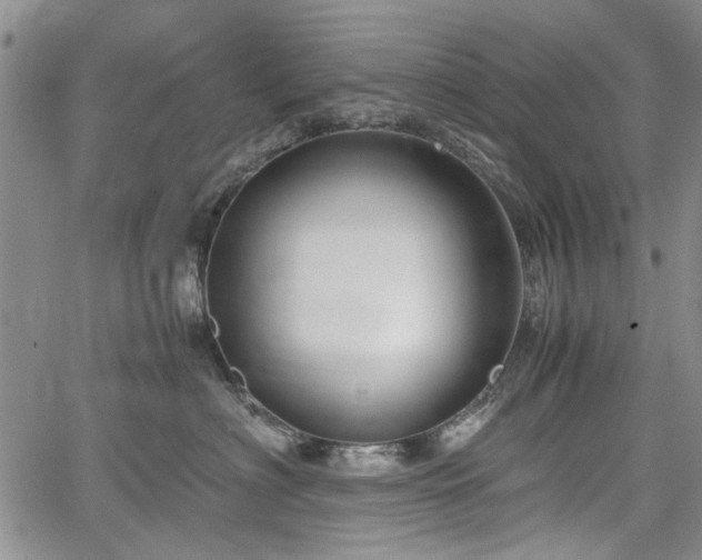 X0000067500622200604101232