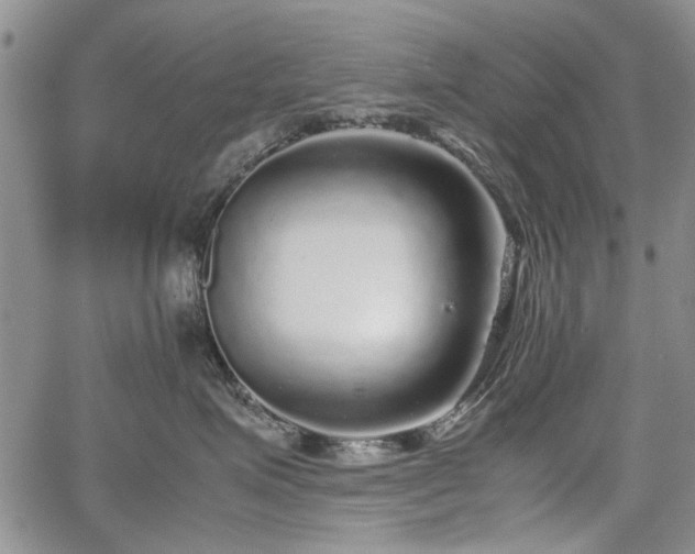 X0000067500623200604101232