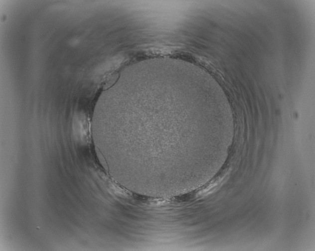 X0000067500624200604101232