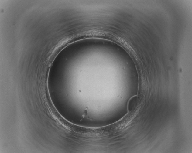 X0000067500625200604101231