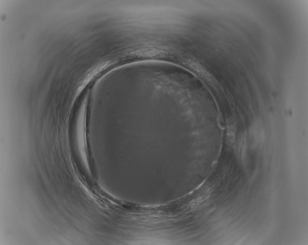 X0000067500626200604101231