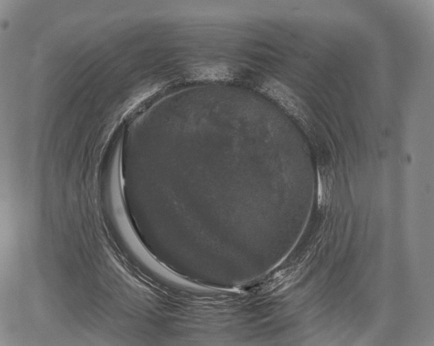 X0000067500627200604101231