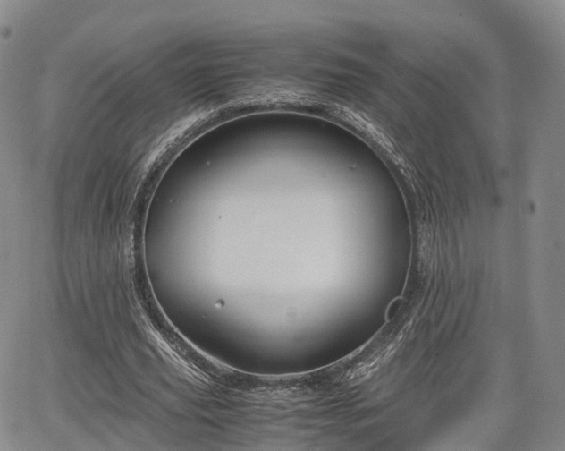 X0000067500629200604101231