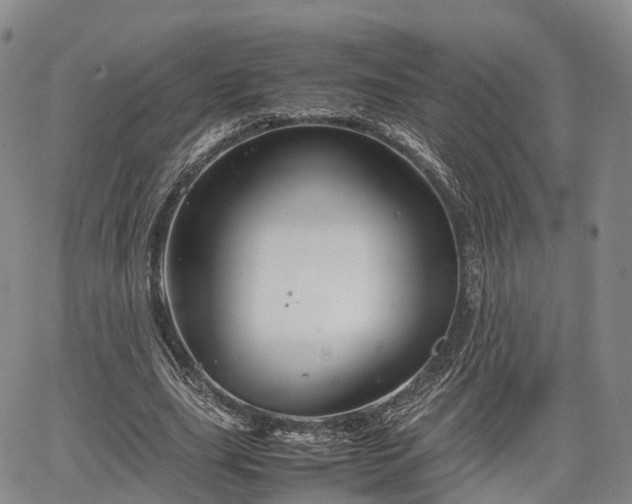 X0000067500631200604101231