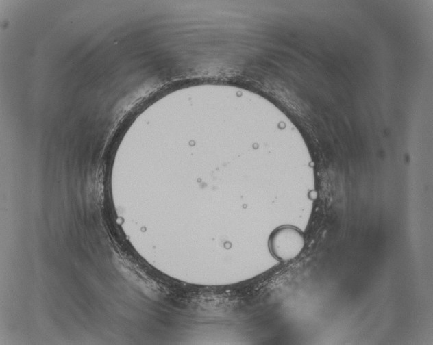 X0000067500632200604101231