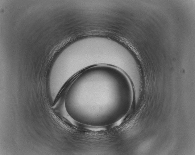 X0000067500633200604101231