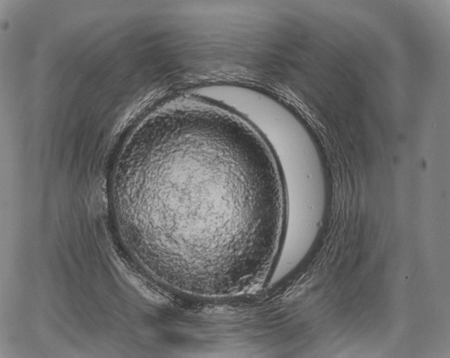 X0000067500634200604101231