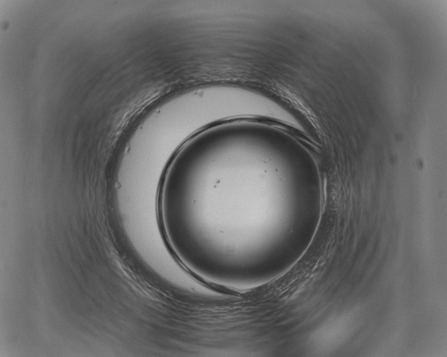 X0000067500635200604101231