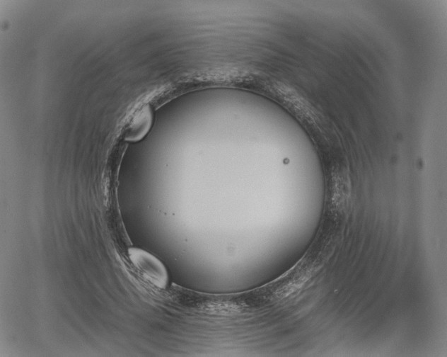 X0000067500636200604101231