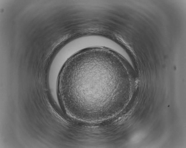 X0000067500637200604101231