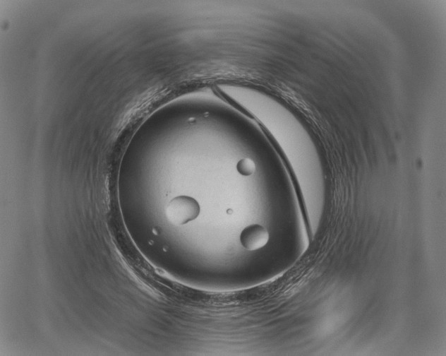 X0000067500638200604101231