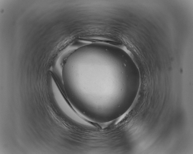 X0000067500639200604101231