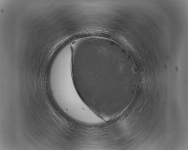 X0000067500640200604101231