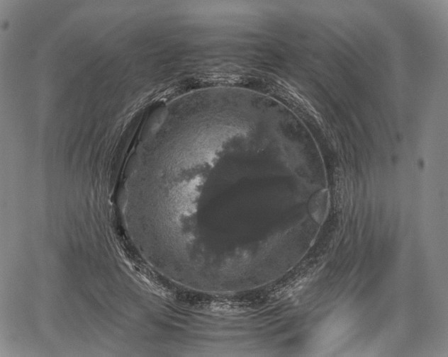 X0000067500641200604101231