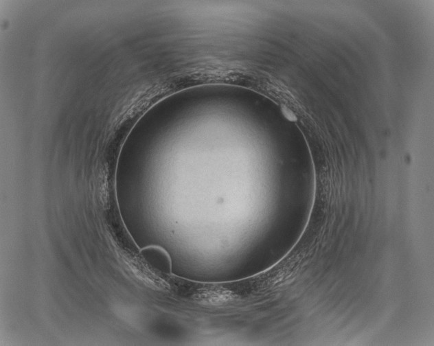 X0000067500642200604101231