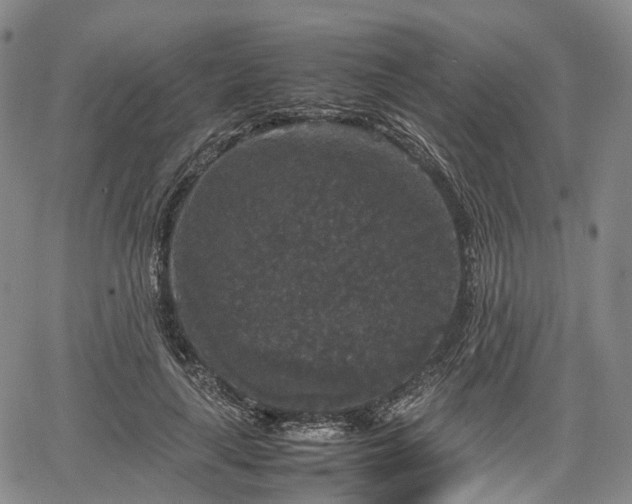 X0000067500643200604101231