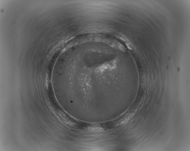 X0000067500644200604101231