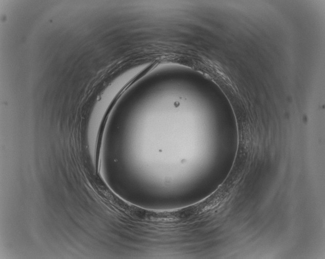 X0000067500645200604101231