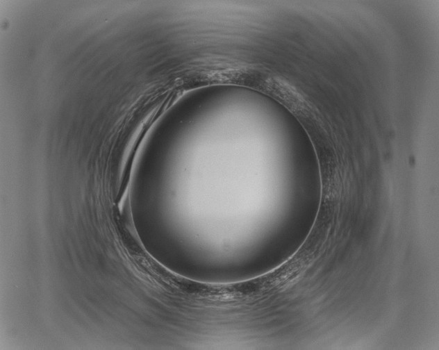 X0000067500646200604101231