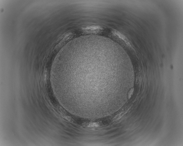 X0000067500647200604101231