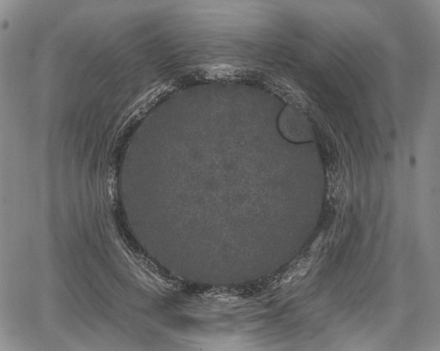 X0000067500648200604101232