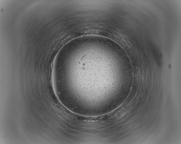 X0000067500649200604101232