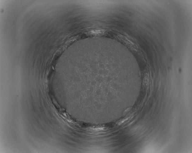 X0000067500651200604101232