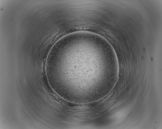 X0000067500652200604101232