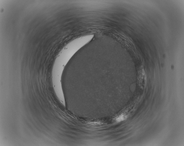 X0000067500653200604101232