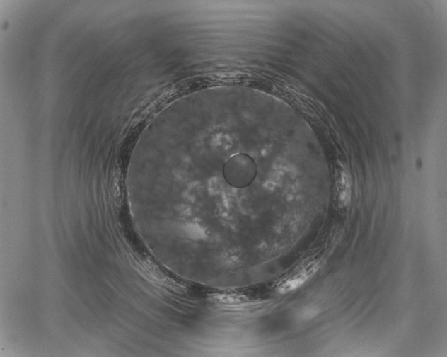 X0000067500654200604101232