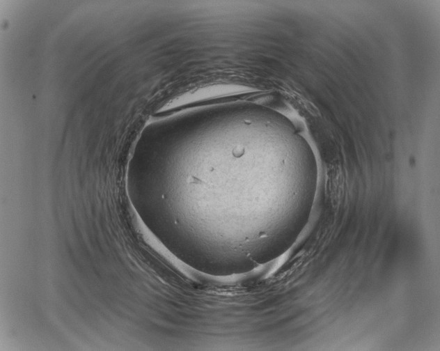 X0000067500655200604101232