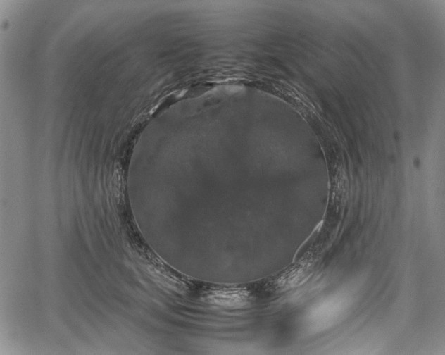 X0000067500659200604101232