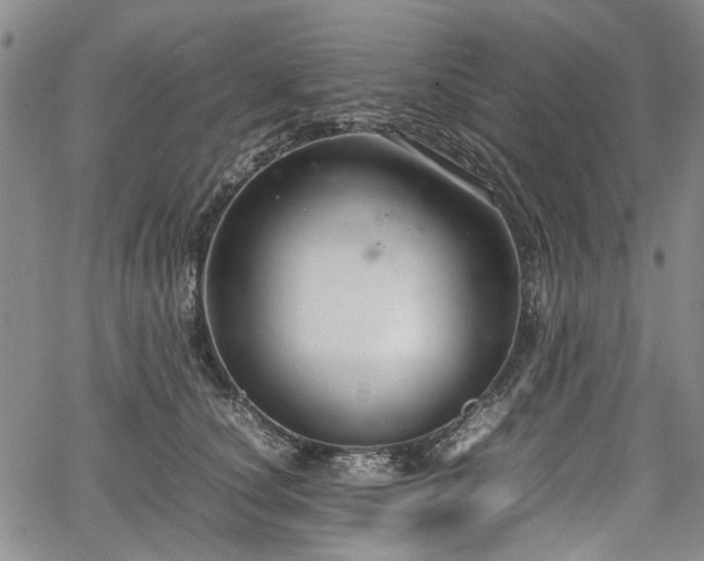 X0000067500660200604101232