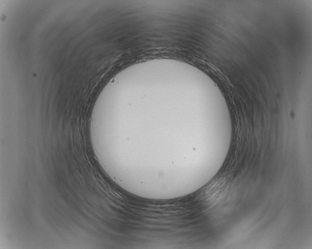 X0000067500661200604101232