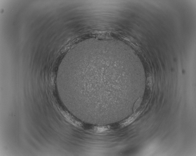 X0000067500662200604101232