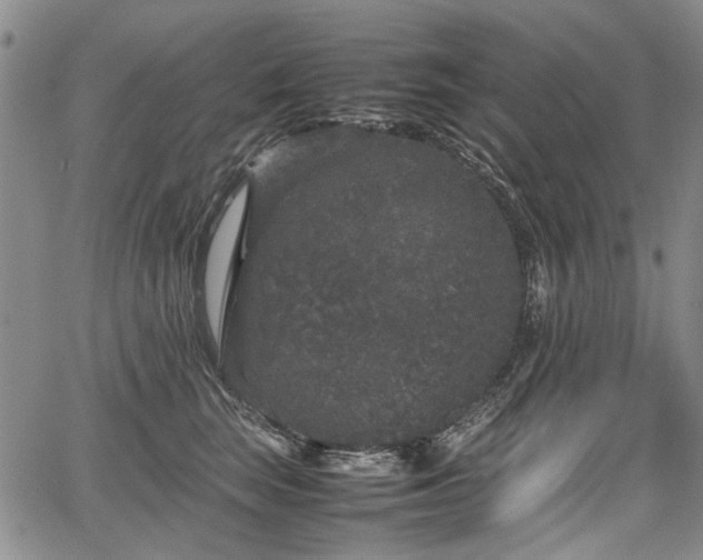 X0000067500663200604101232