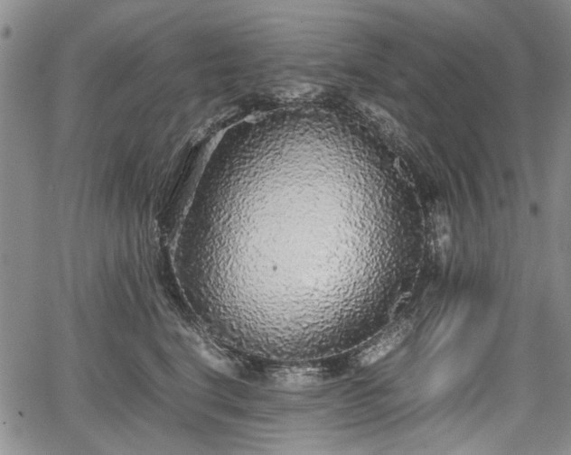 X0000067500664200604101232