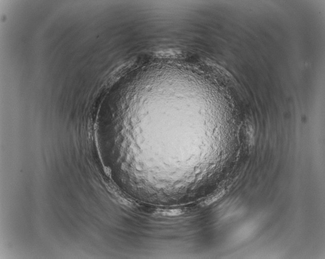 X0000067500665200604101232