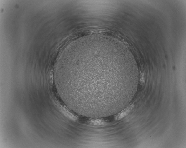 X0000067500666200604101232